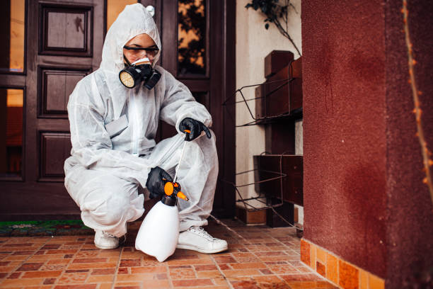 Reliable Bed Bug Control contractor in Powell, OH by Nex Pest Control