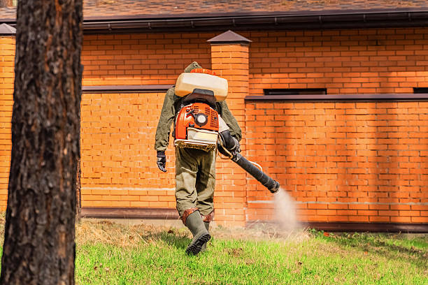 Top rated local Bed Bug Control specialists in Powell, OH